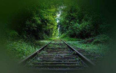 Perdita di visione periferica