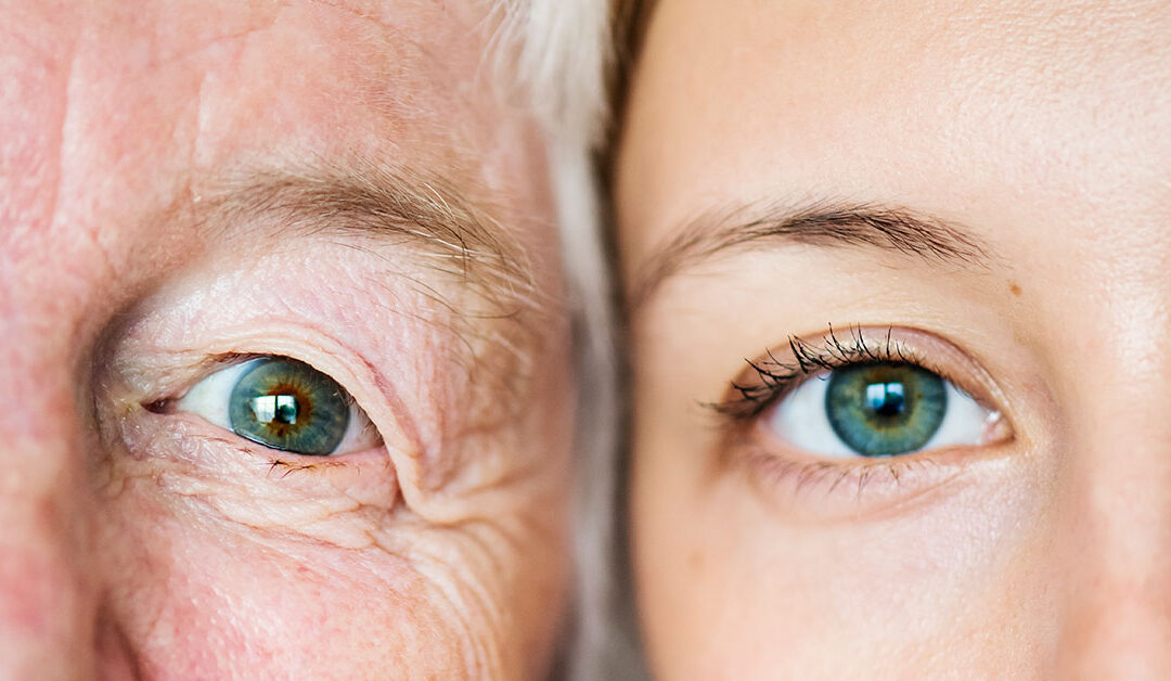 controllo della vista roma