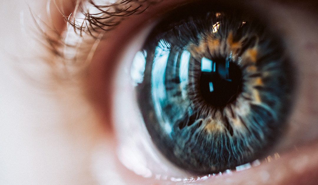 ANALISI VISIVA E TEST DELLA VISTA